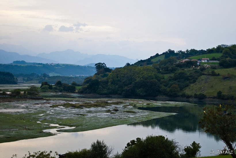Marisma de Pombo (II)