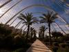 L'Umbracle